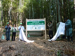2009年11月 设立植林地风景